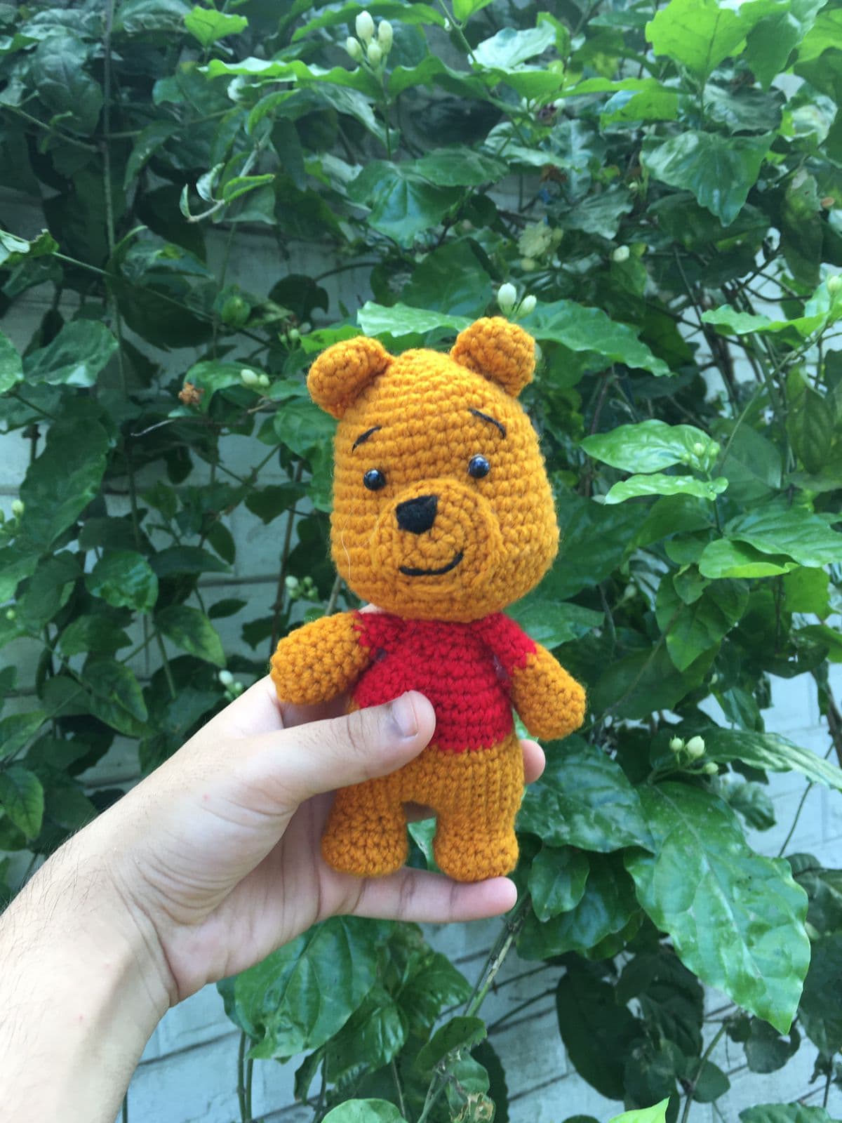 Winnie the Pooh🐻