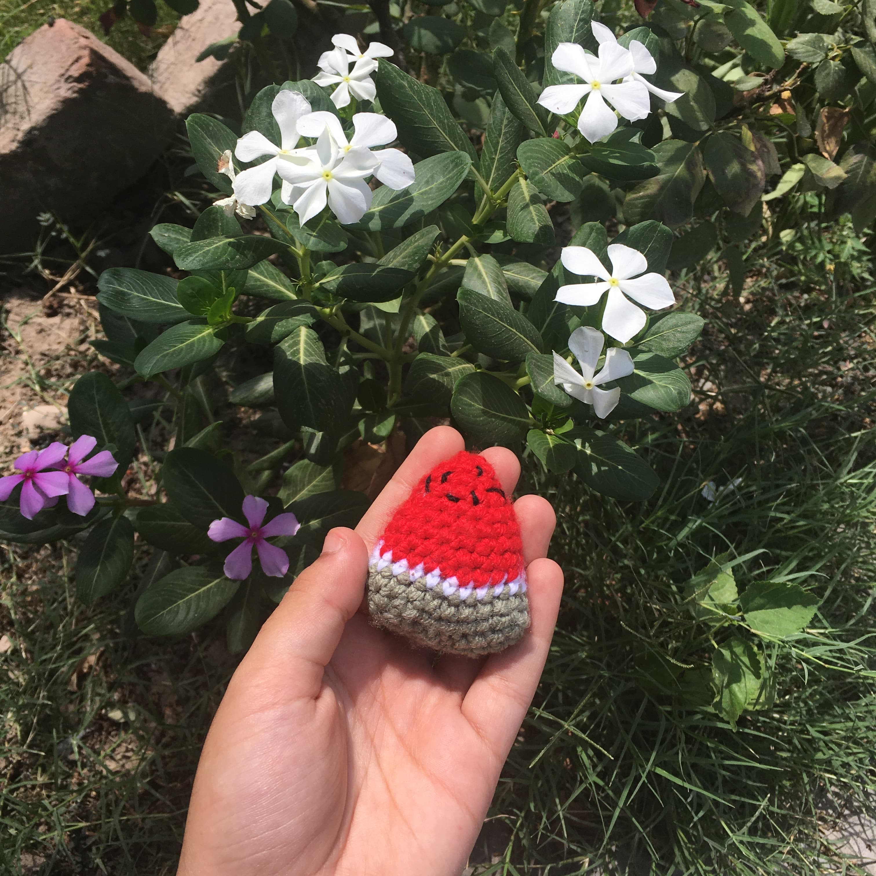 Water melon 🍉  