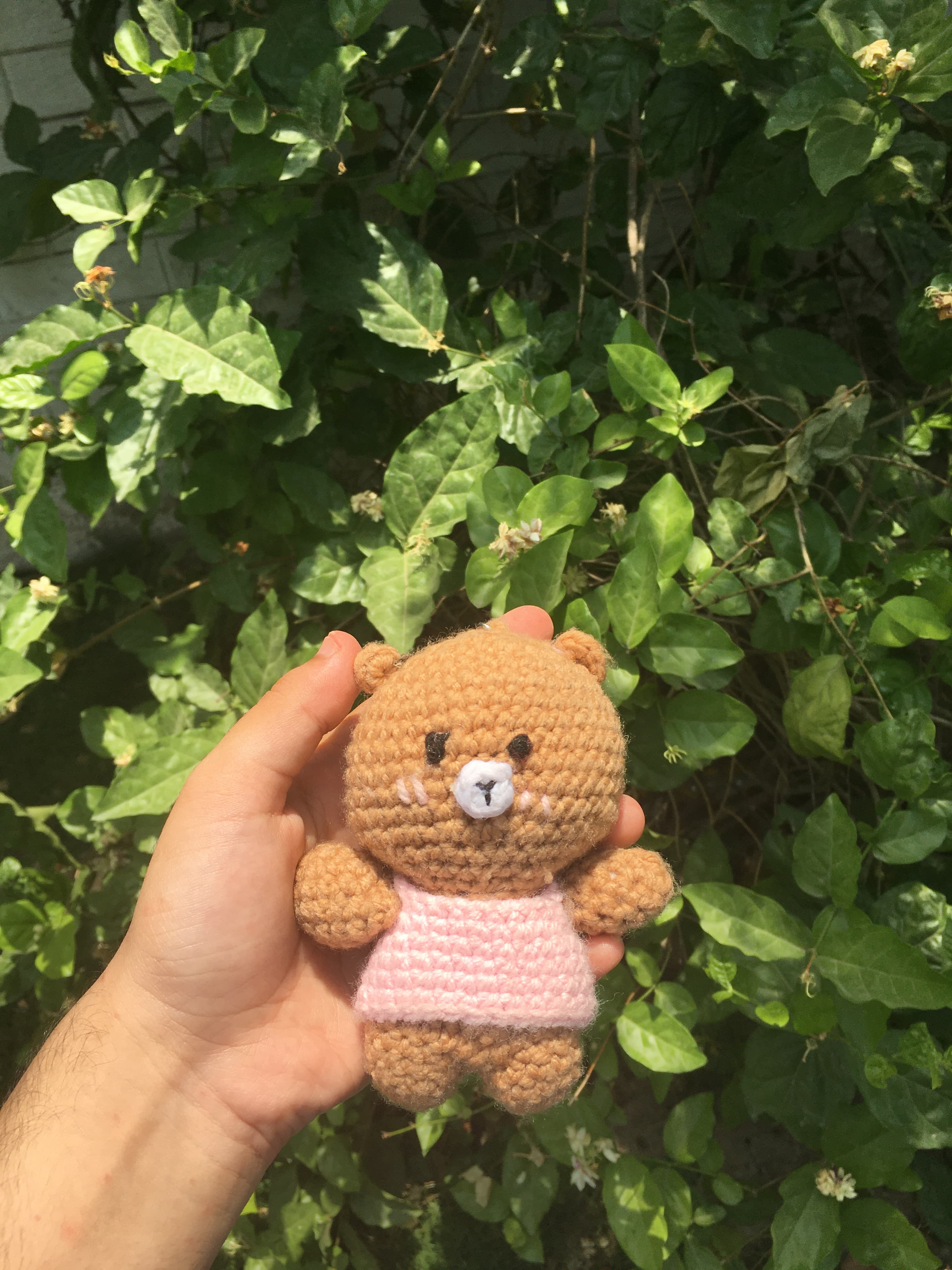 Teddy Bear 🧸 